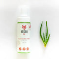 Mousse nettoyante à l'aloe pour peau sèche